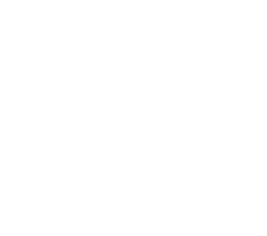 ANMT logo mark